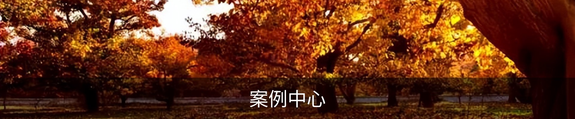 内页banner